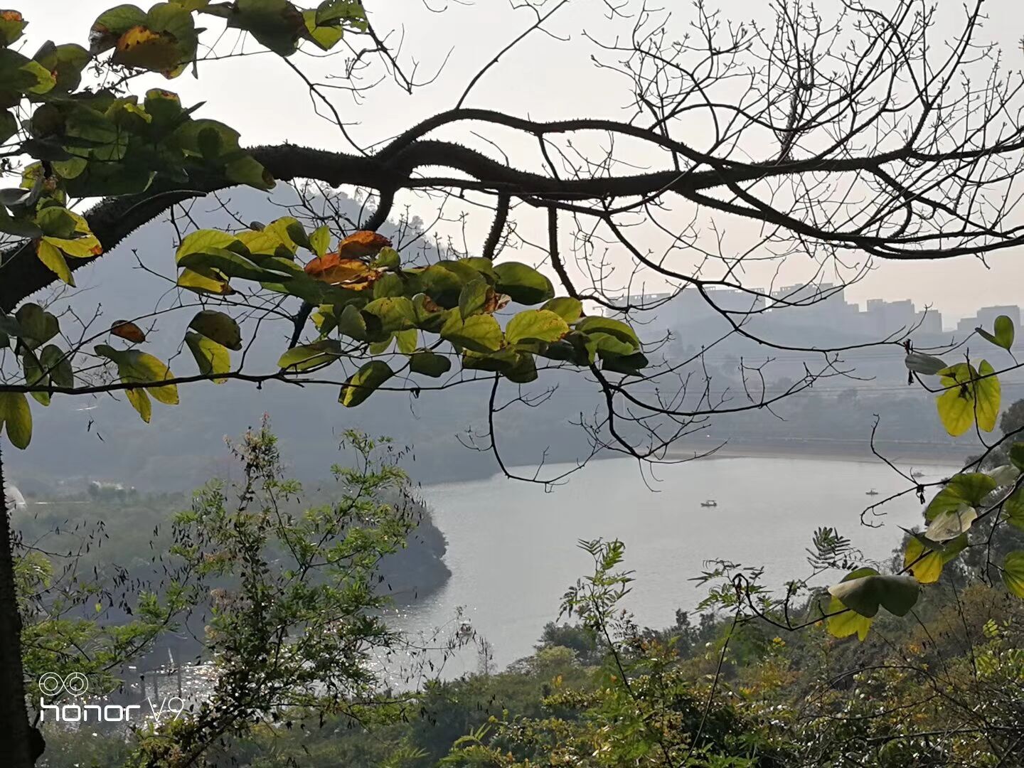 东莞水濂山森林公园美景图之一